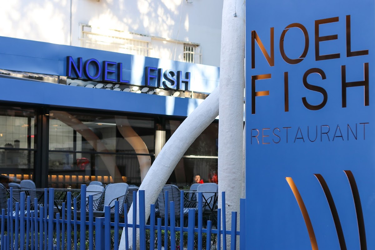 Noel Fish